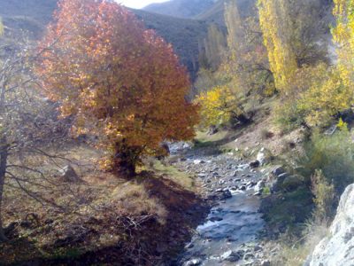 طبیعت روستای برنقور (استان زنجان- ابهر)